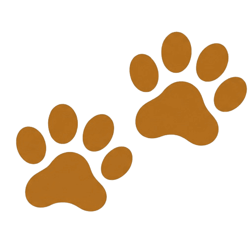 Tomi the Tiger paw prints